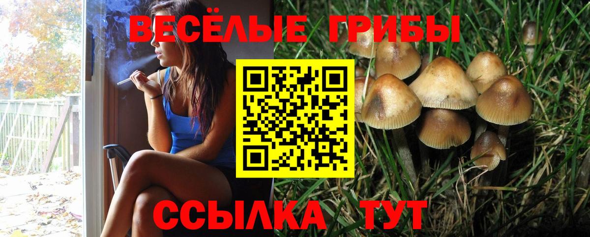 Псилоцибиновые грибы прущие грибы Кунгур